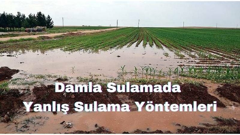 Damla Sulamada Yanlış Sulama Yöntemleri