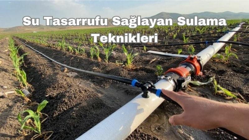 Su Tasarrufu Sağlayan Sulama Teknikleri