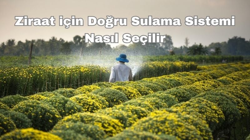 Ziraat için Doğru Sulama Sistemi Nasıl Seçilir