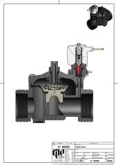 RPE Solenoid Vana 100RPE 24 Volt 1''