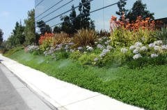 Hunter Pro Ayarlanabilir Nozul 4A - 1,2 Mt